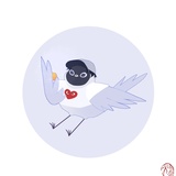 貉热谈科技