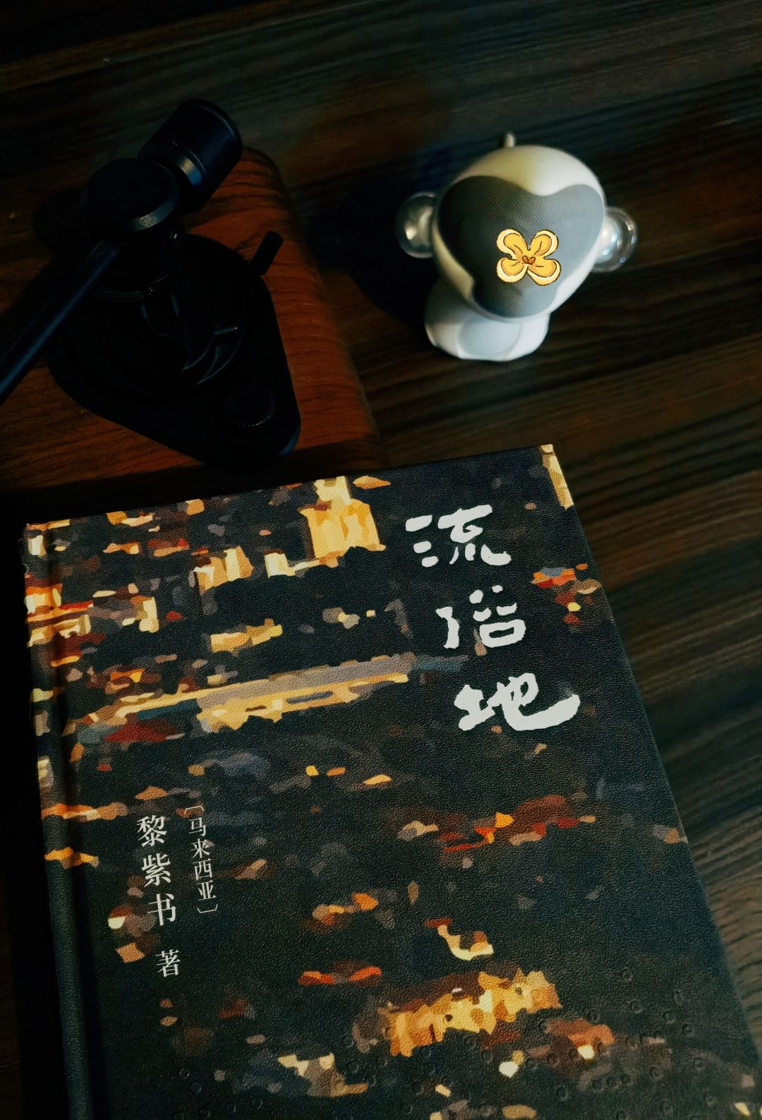 众生百态，盲女不盲🔥2024年第一本书📚