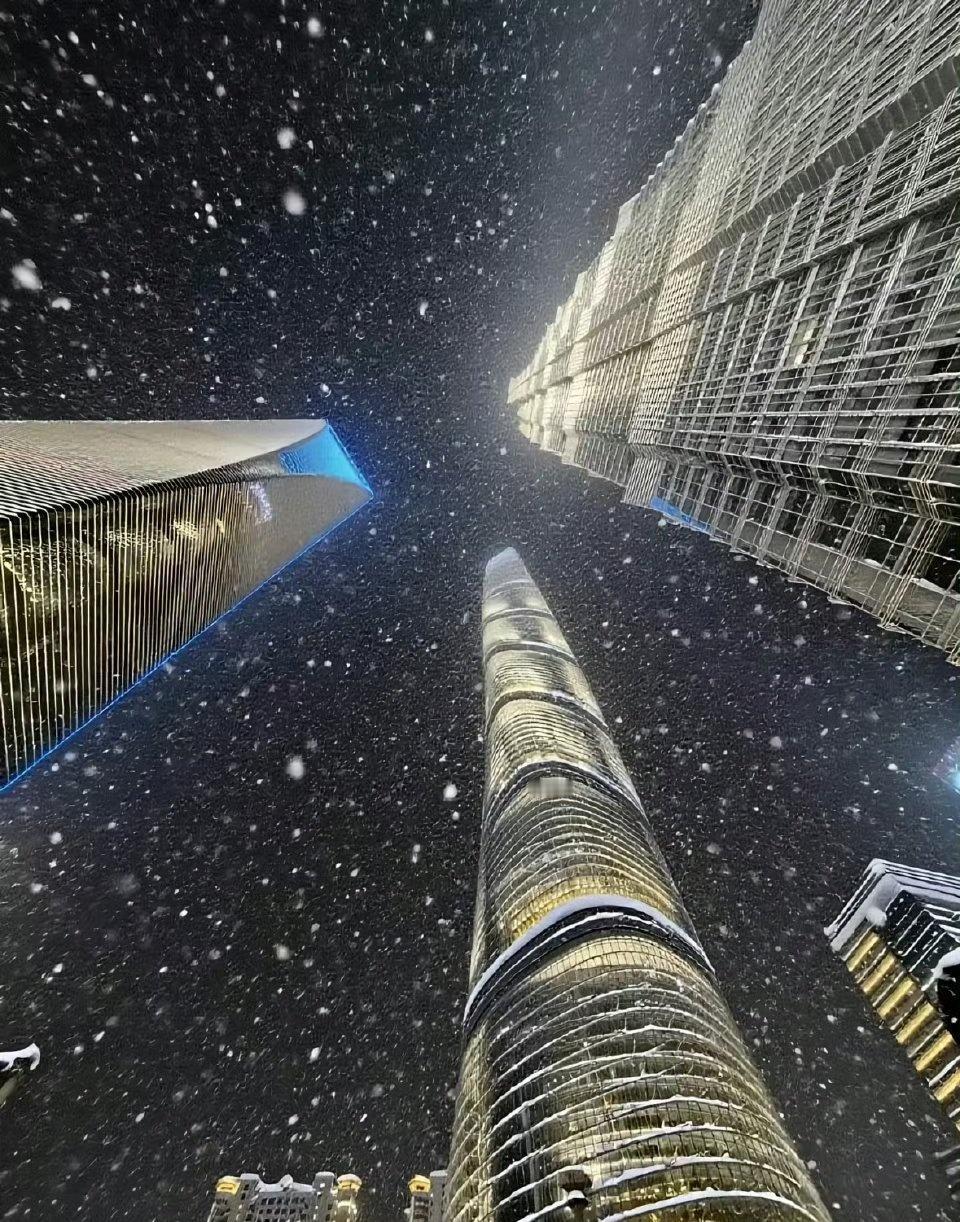 昨晚，上海和哈尔滨都在下雪，不同的是，上海飘雪时伴着雷声（雷打雪)，咔嚓！咔嚓嚓