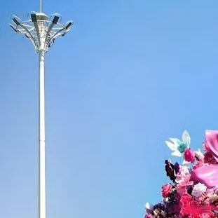 【石家庄正太广场巨型花束浪漫登场】石家庄正太广场上，巨型花束惊艳亮相。五彩斑斓的