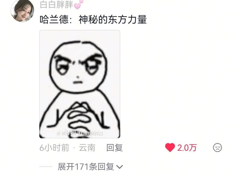 哈兰德背后必有华人指点 
