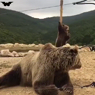 互联网宅舞区既视感