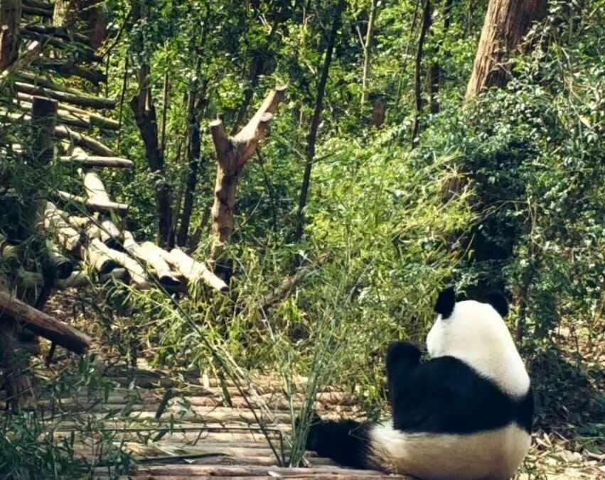 恭喜地球超新鲜2完美收官（盗的宁哥微博图）
地球超新鲜 地球超新鲜2 地球超新鲜