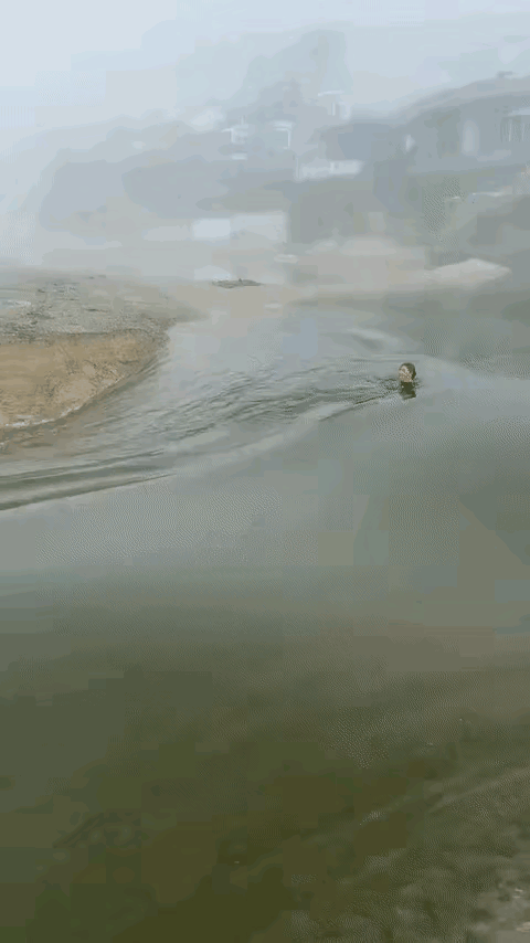 长江滚滚东流水