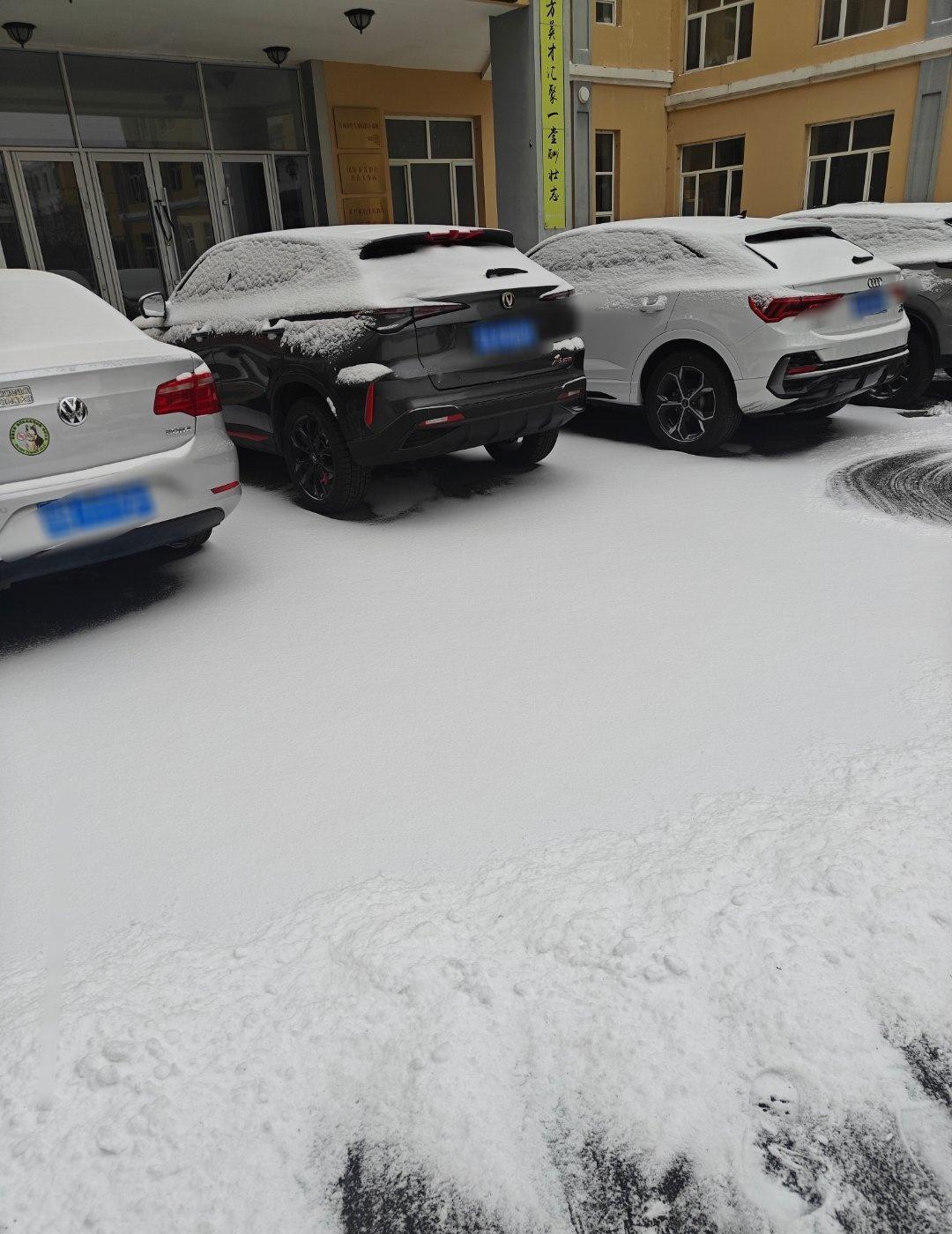 ❄️返场 ​​​