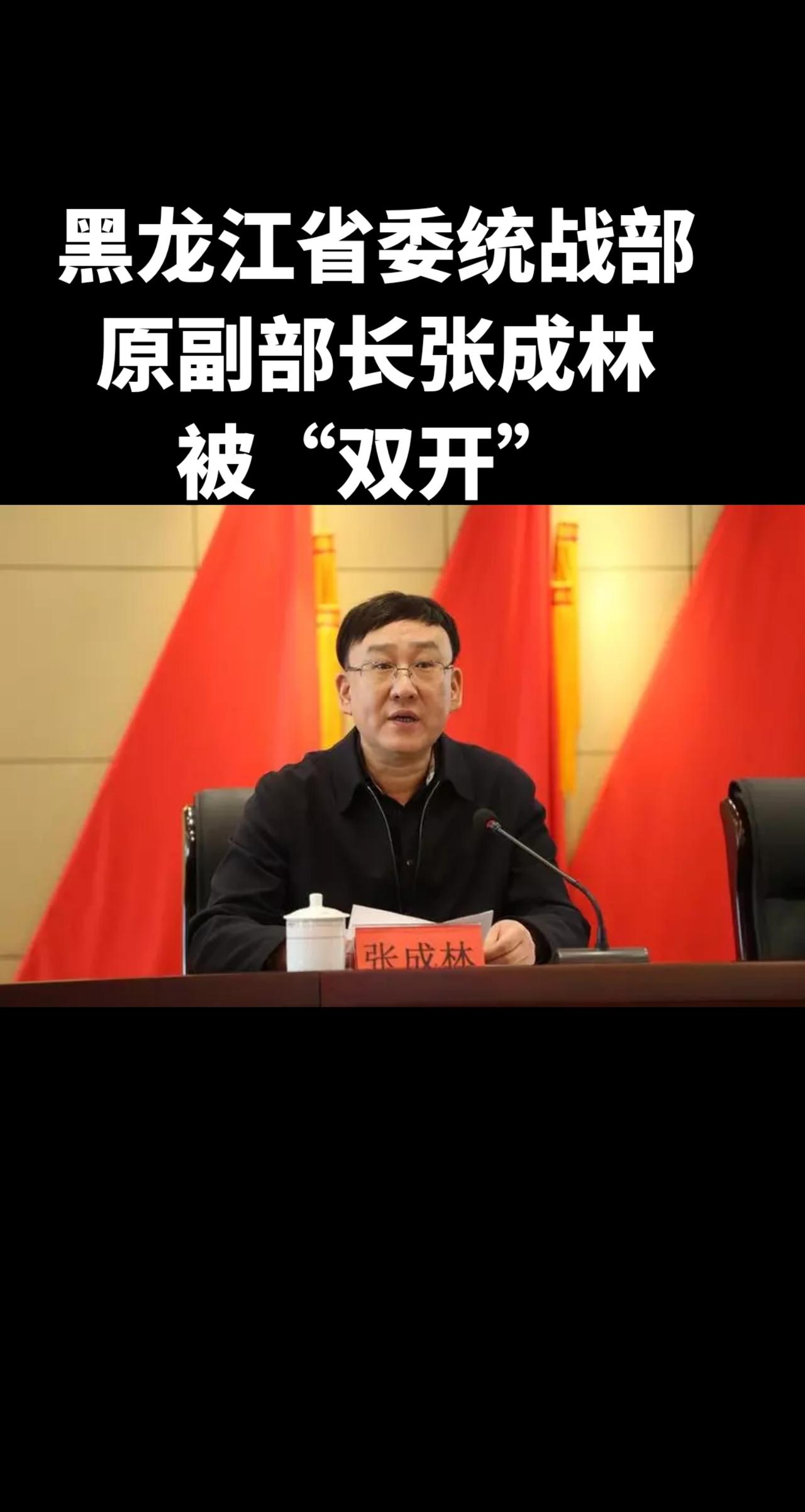 黑龙江省委统战部原副部长张成林被“双开”惩腐倡廉 严厉打击违法犯罪 #国际新闻热