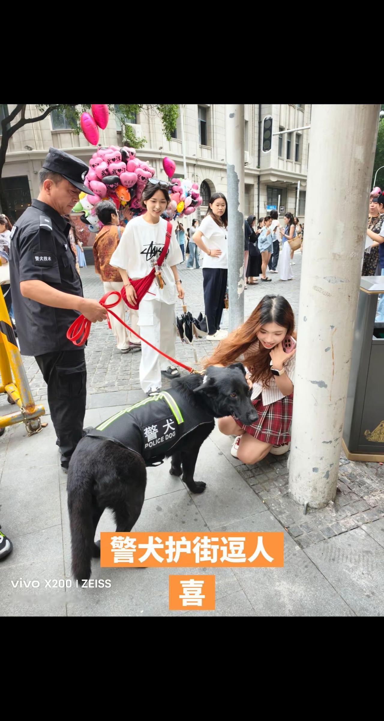 警犬护街逗人喜