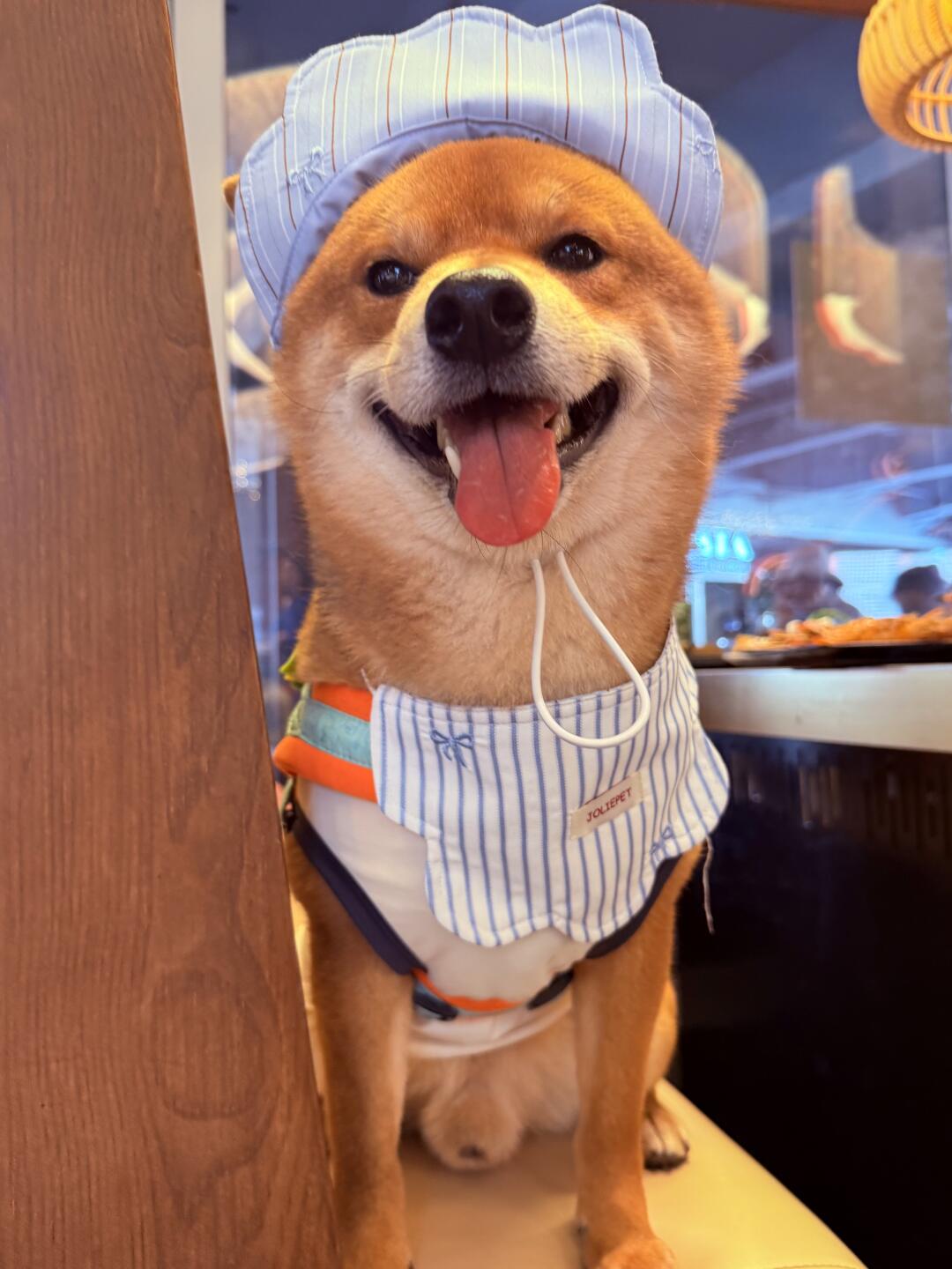 你怎样都可以😊