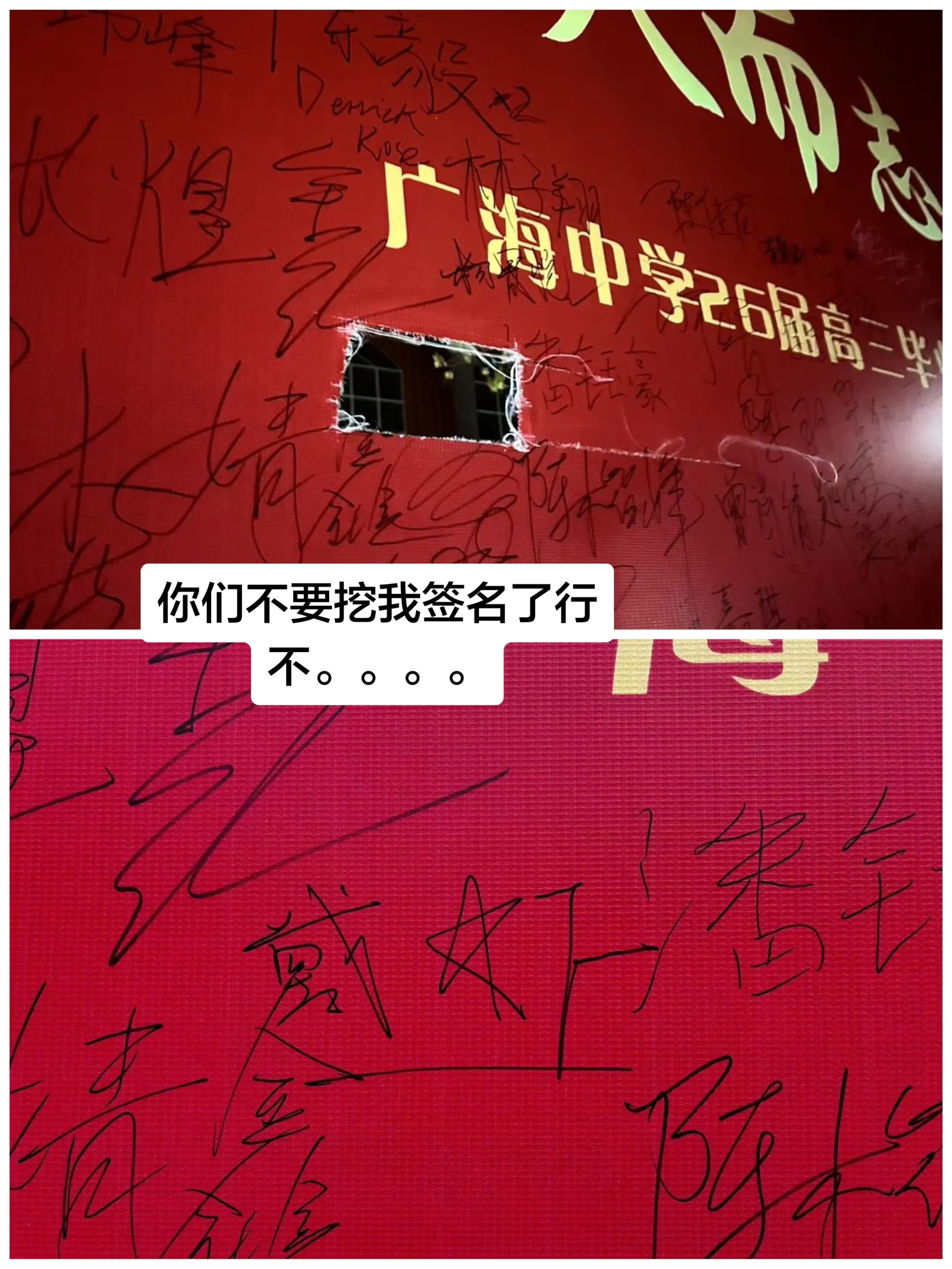 我恨你们…