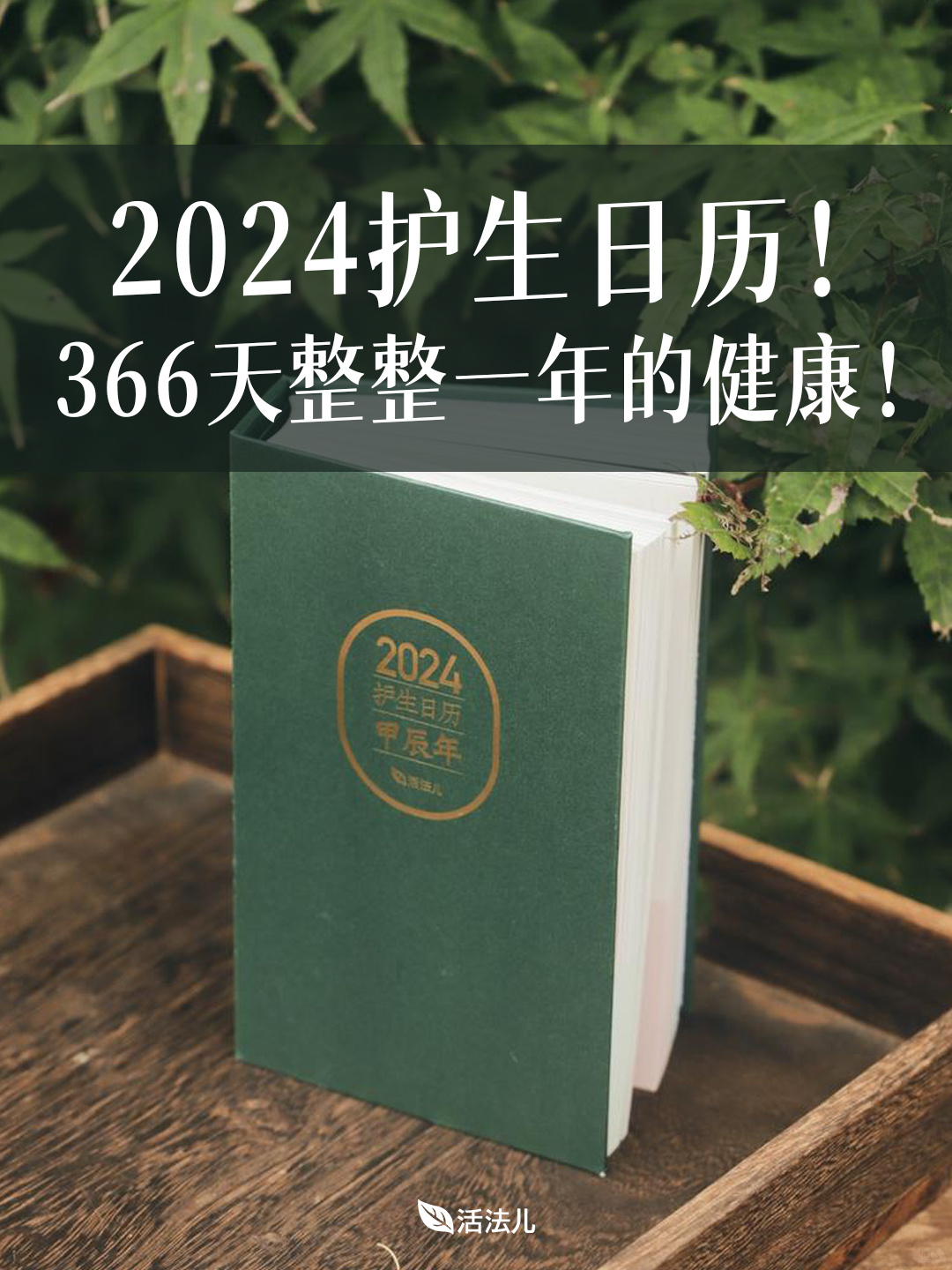 泰裤辣！2024蕞养生的日历被我找到了！