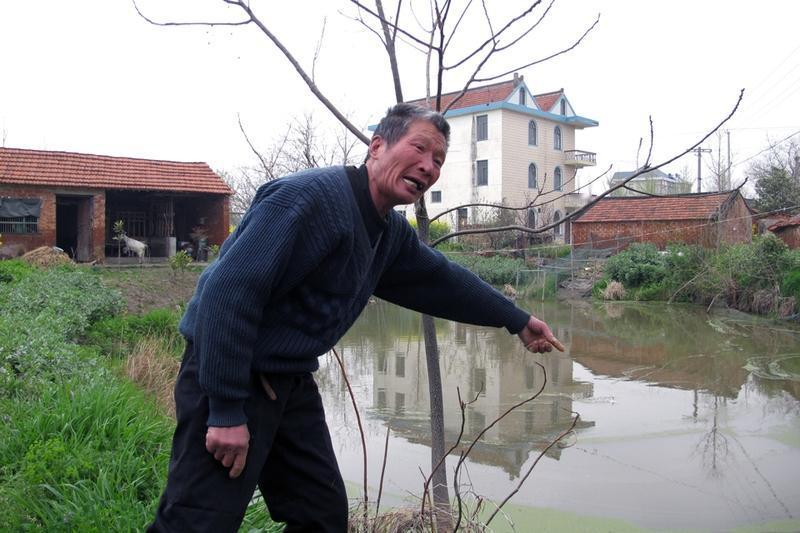看到“狗子拦住主人不让杀大鹅”这事儿，感觉太有意思了。狗子这“护鹅”的行为，就像