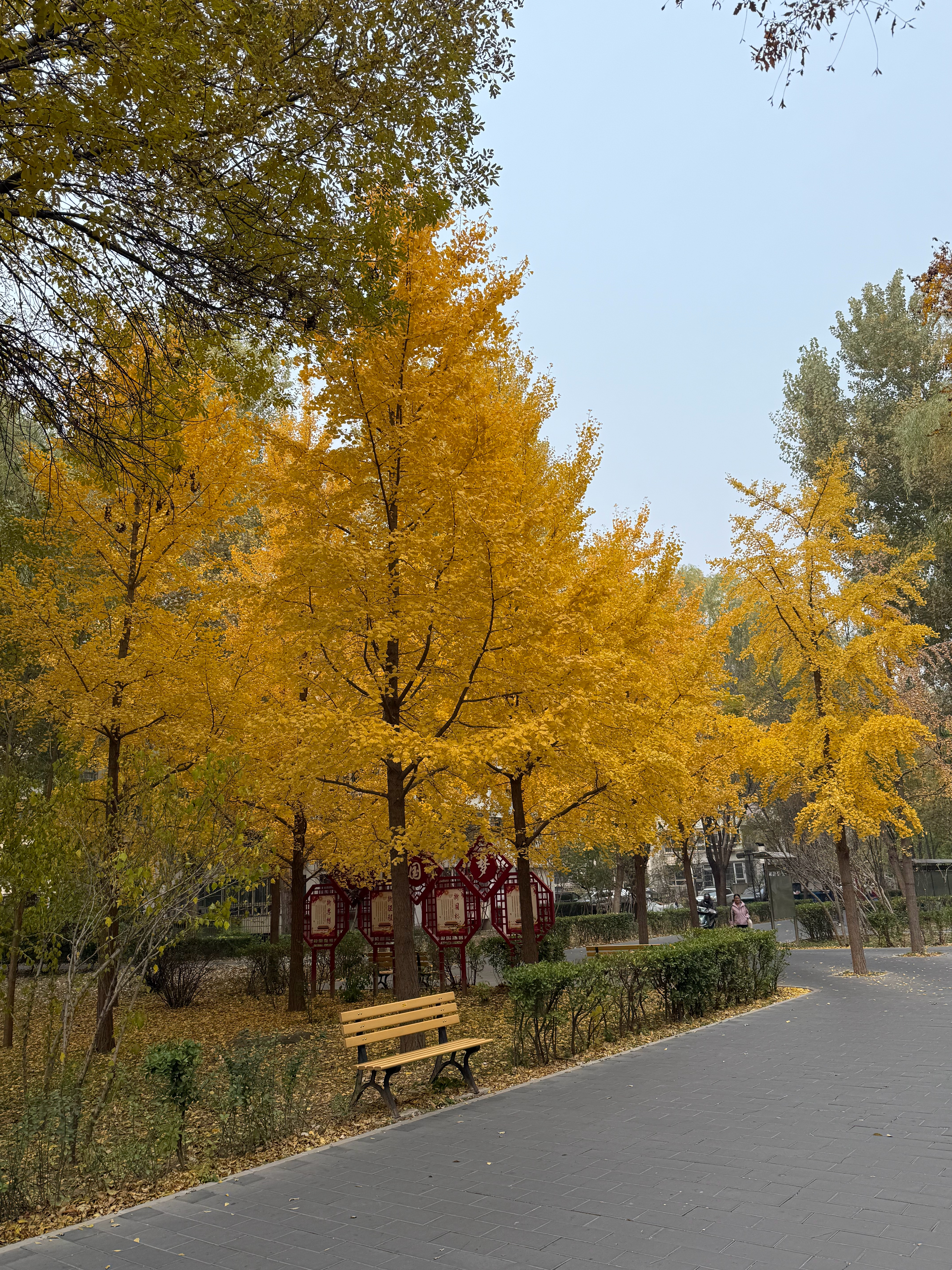 也就这一两天了，抓紧 ​​​