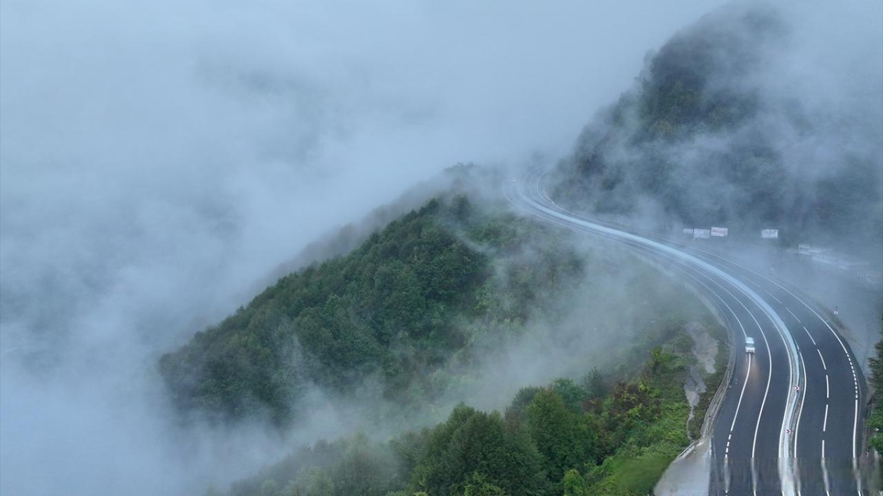 【博鲁山的大雾】
博鲁山区域被大雾笼罩，朦胧雾景之下，D-100高速公路博鲁山路