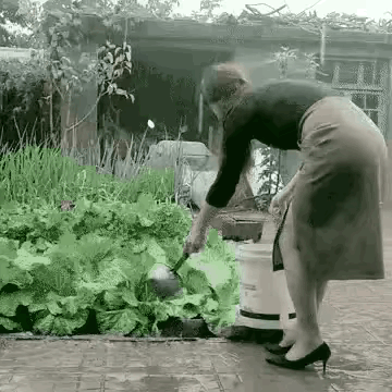 1 天呐！这女的好勤劳，下雨天还给菜浇水。
2 怕烫而已，好歹也翻了一半。[捂脸