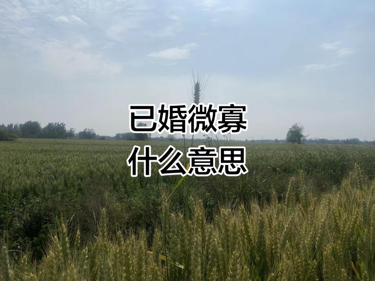 不懂