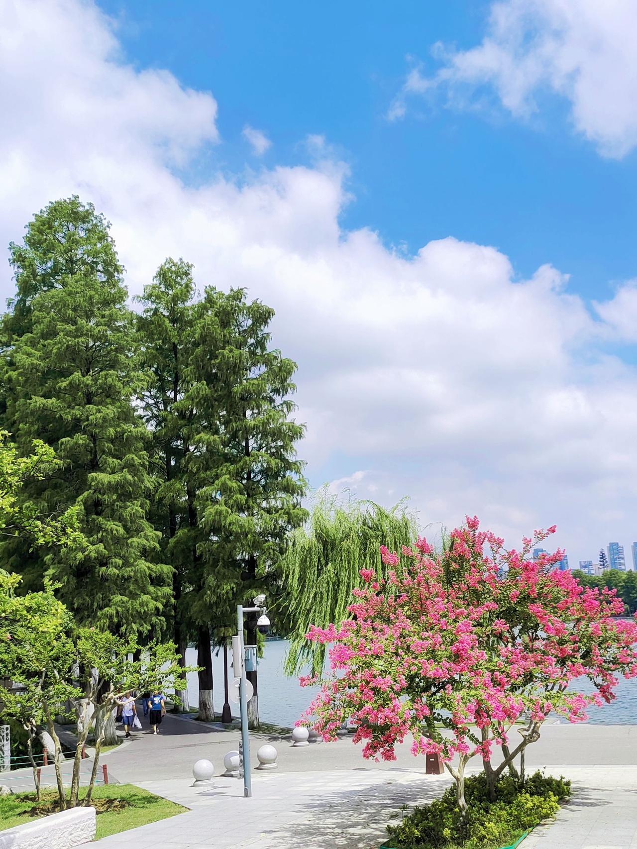 亲身经历家里的几位亲人离世
我想自己百年以后，要一切从简。

不买墓地，也不搞什