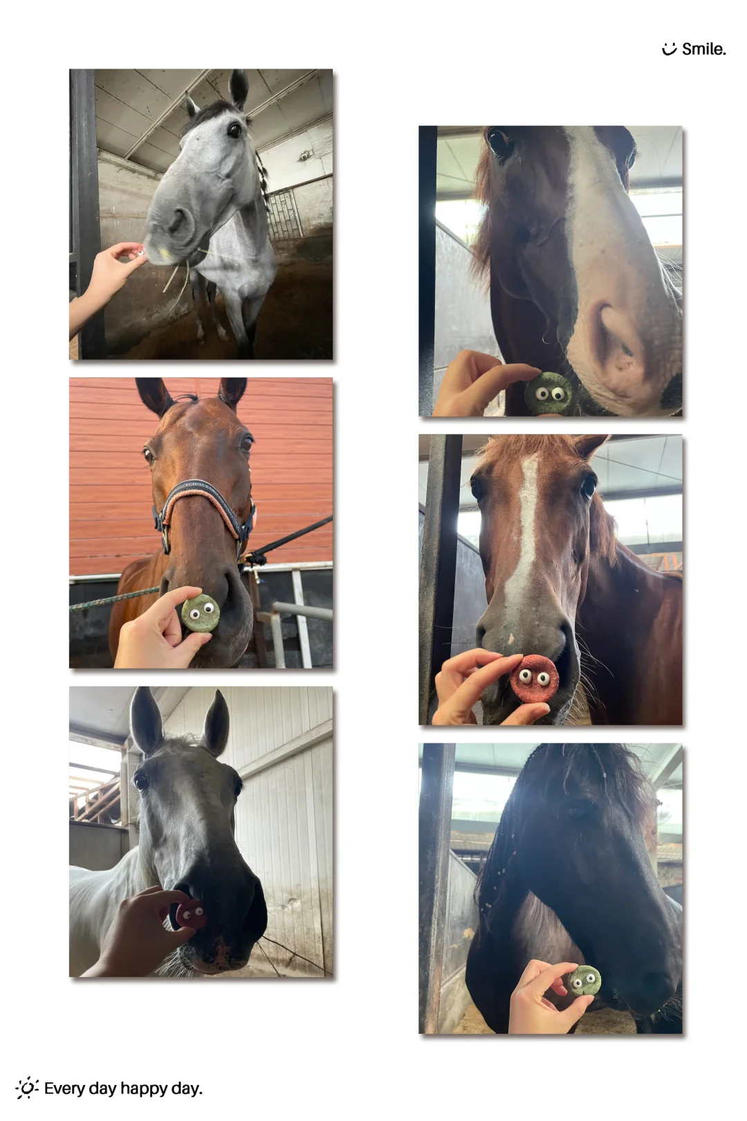 眼珠马饼干🍪👀