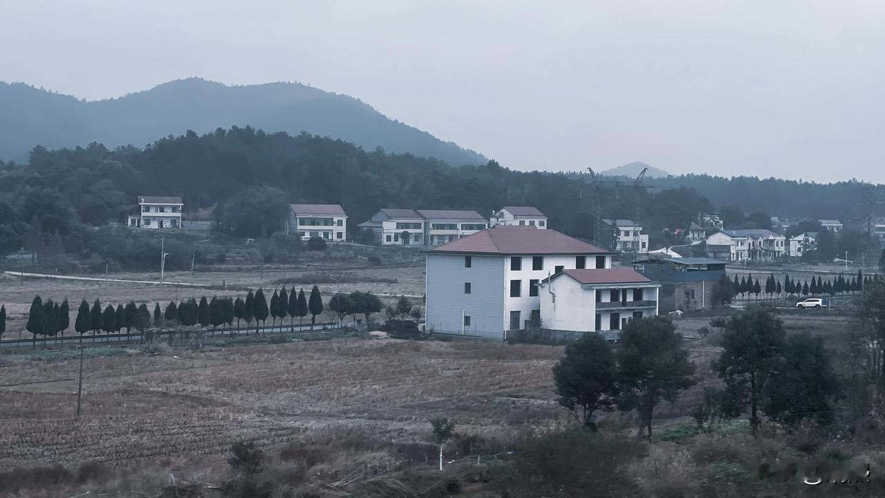 远处的村庄，静谧自然之美。
 随手拍冬日晨曦 随手拍初冬景色 冬日美景留存 晨雾