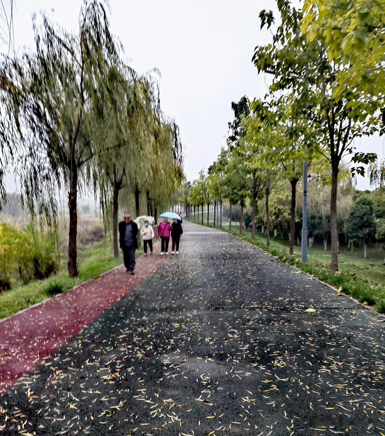 初冬时节宝鸡的路景