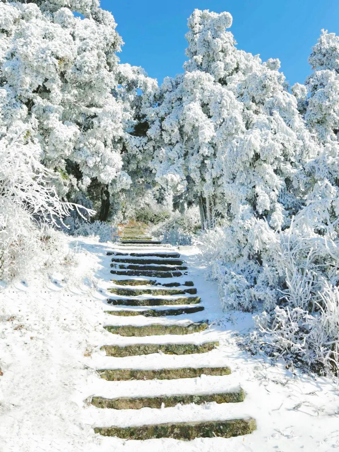 推荐广深人一个最省时省钱的赏雪地：衡山