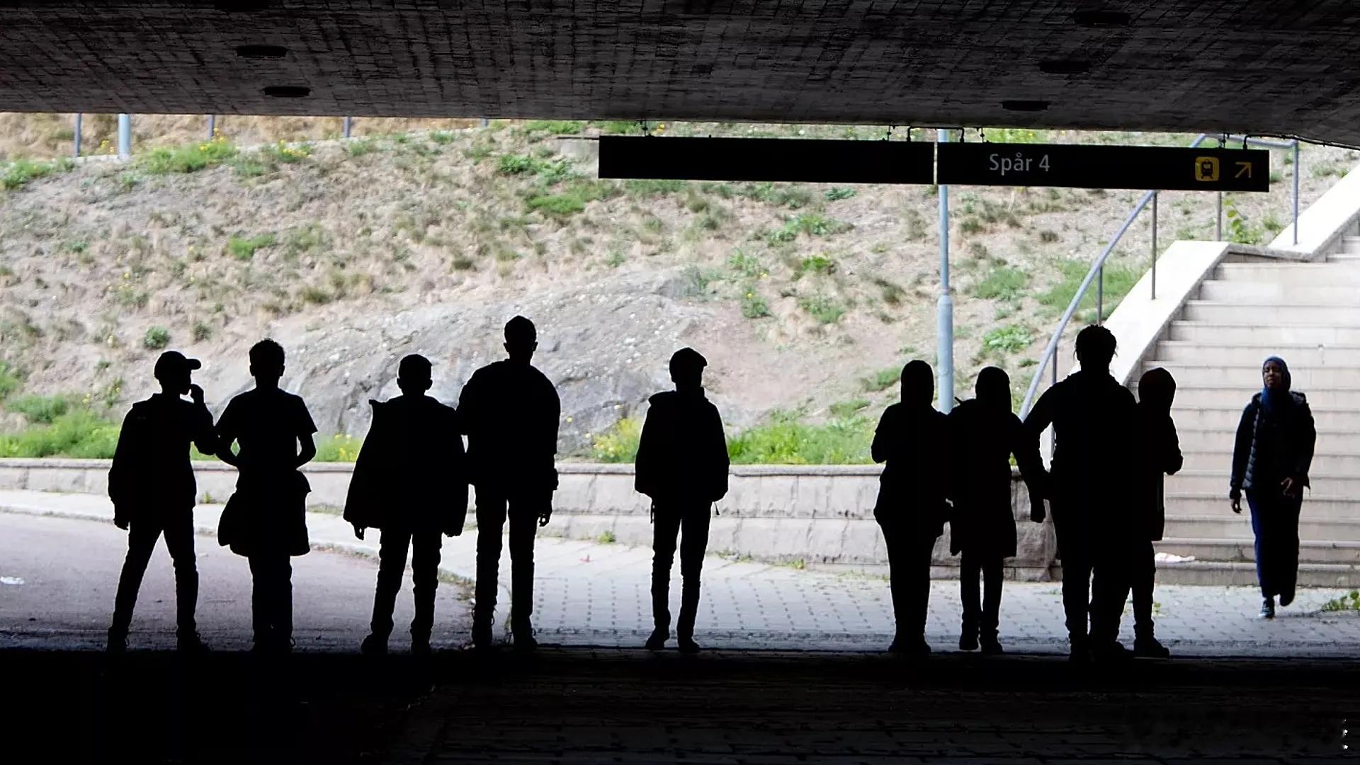 【瑞典人权组织抨击政府针对移民的“诚实生活”提案】（Euronews）为寻求庇护