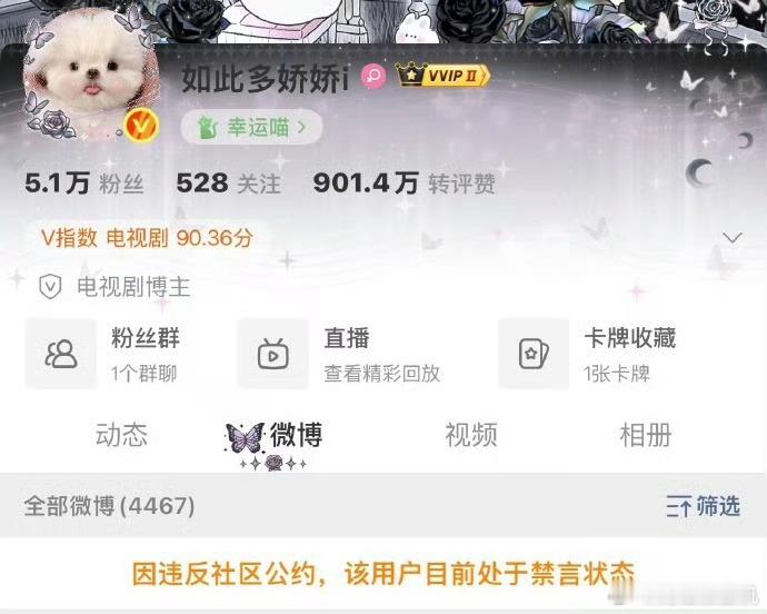 又恭喜了？ 
