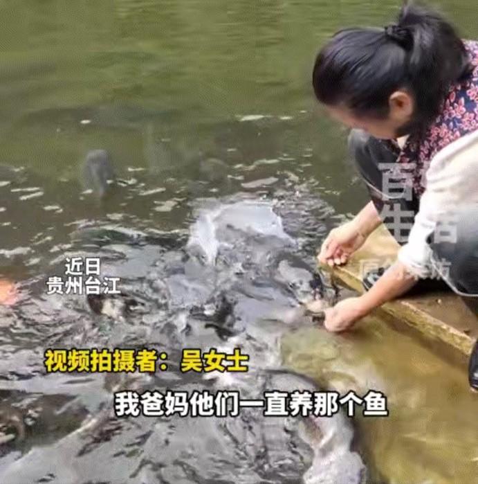 5月8日报道，贵州台江有一段温柔治愈的暖心日常格外动人。一位阿姨坚持十余载，日复