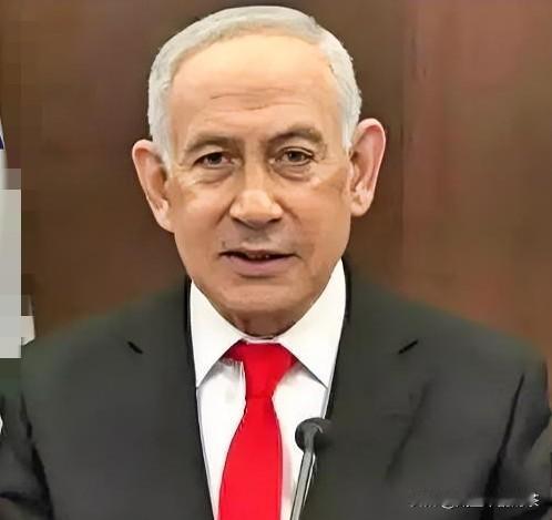 内塔尼亚胡深陷内外双重逼宫
 
这下咱们可算是看明白了，政客为了保住位子能有多拼