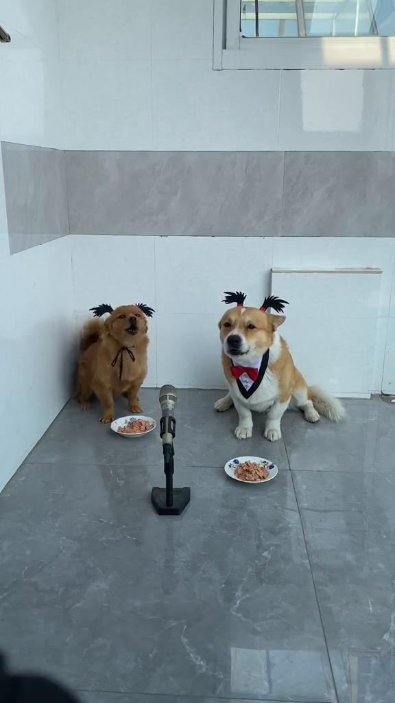 没错，一会。
