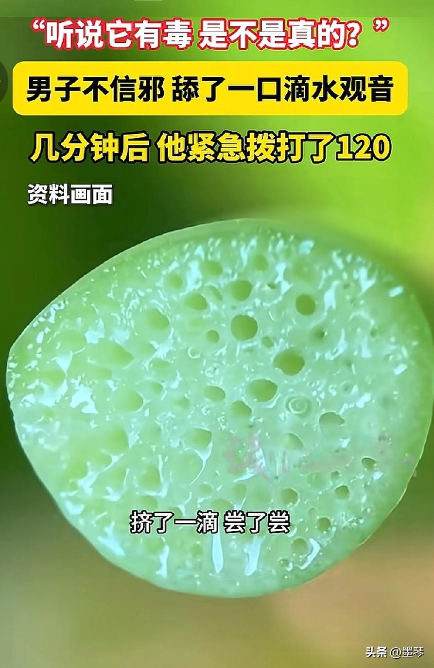 都说好奇心害死猫，这男的没害死猫，差点把自己害死。

如今网络时代，这东西有没有