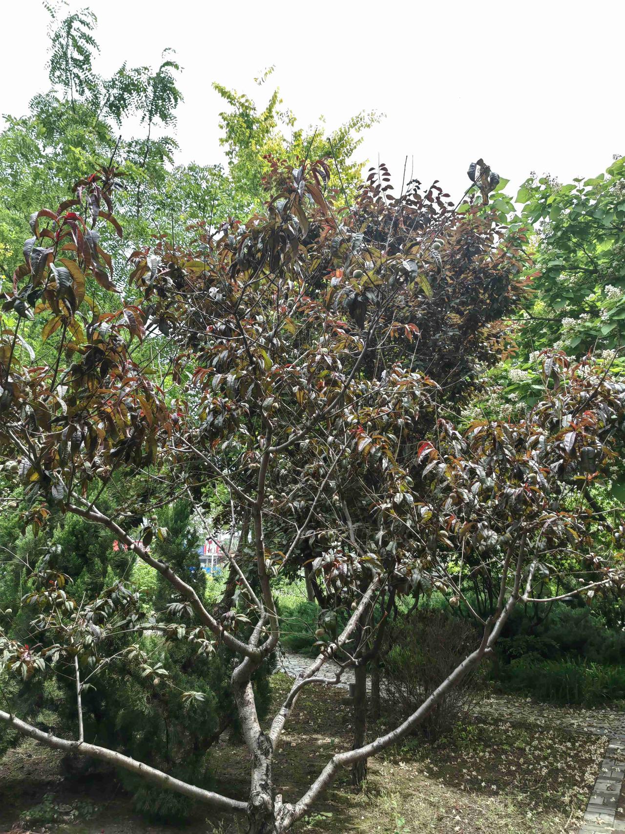我的今日状态：😁轻松愉快
我这里的天气：🌧下雨