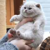 小眠侃侃美食