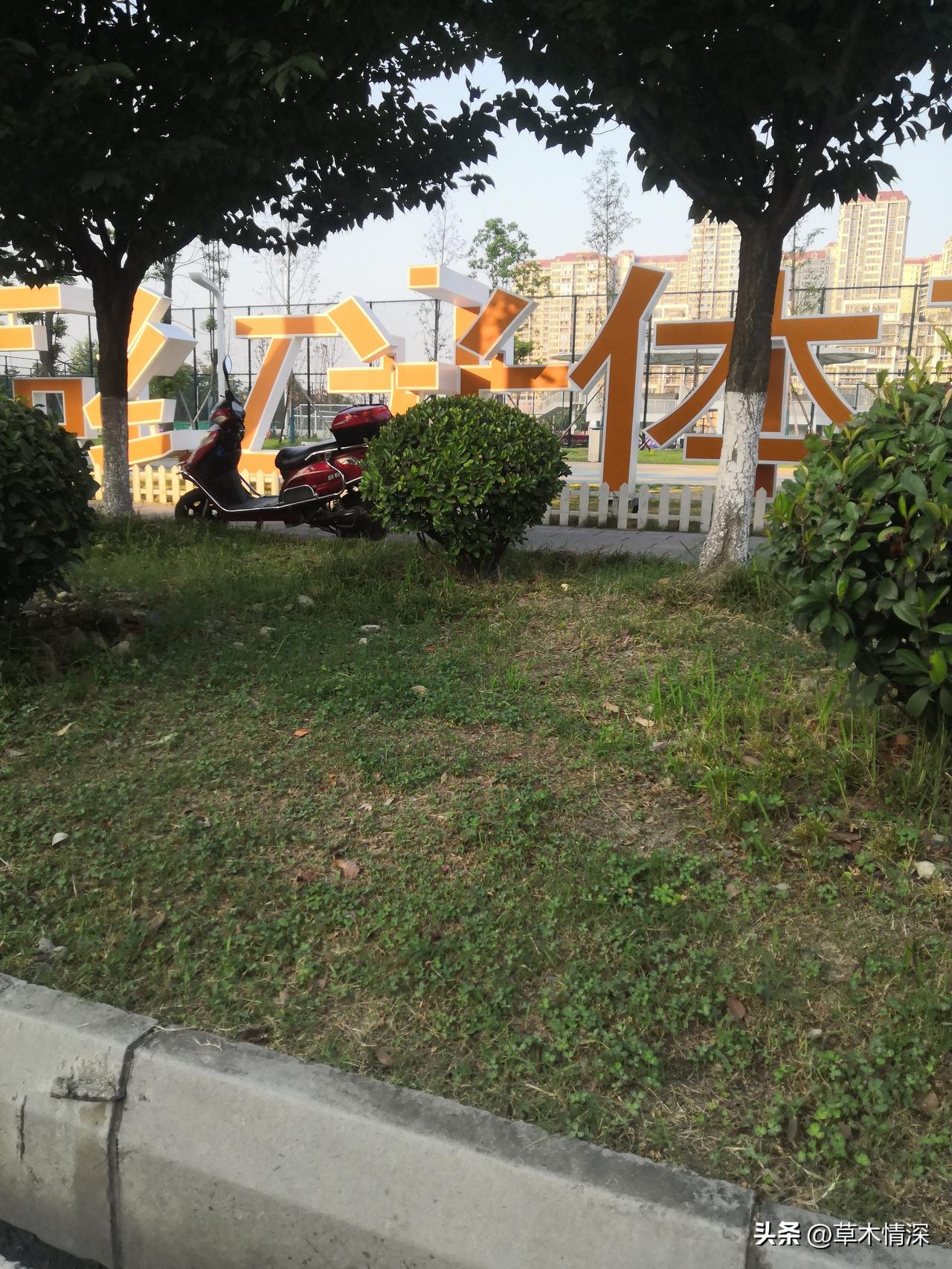 607公交车
今天早晨，从中江县老家来到了青白江区，可是去十里店的车好像改了路线