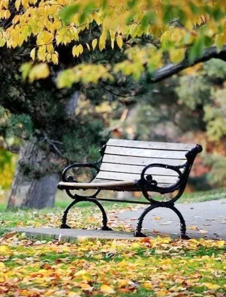 方圆天地，为头条联友对联：
叶伴风霜成往事，
花随雨雪别秋天。