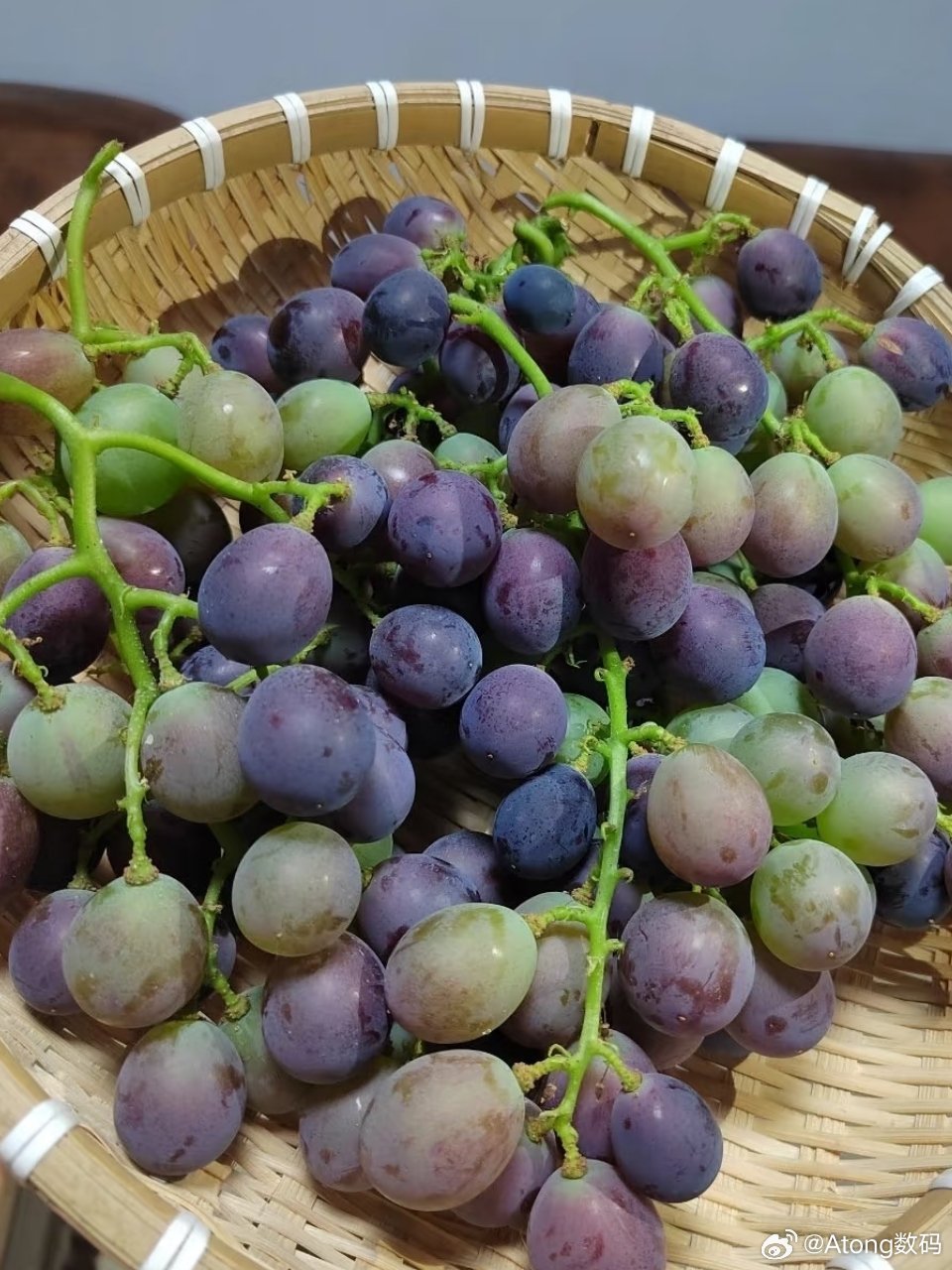 被时代淘汰的水果这种酸酸的葡萄都没了现在的那些新品种阳光玫瑰啥的一点果味没有齁甜