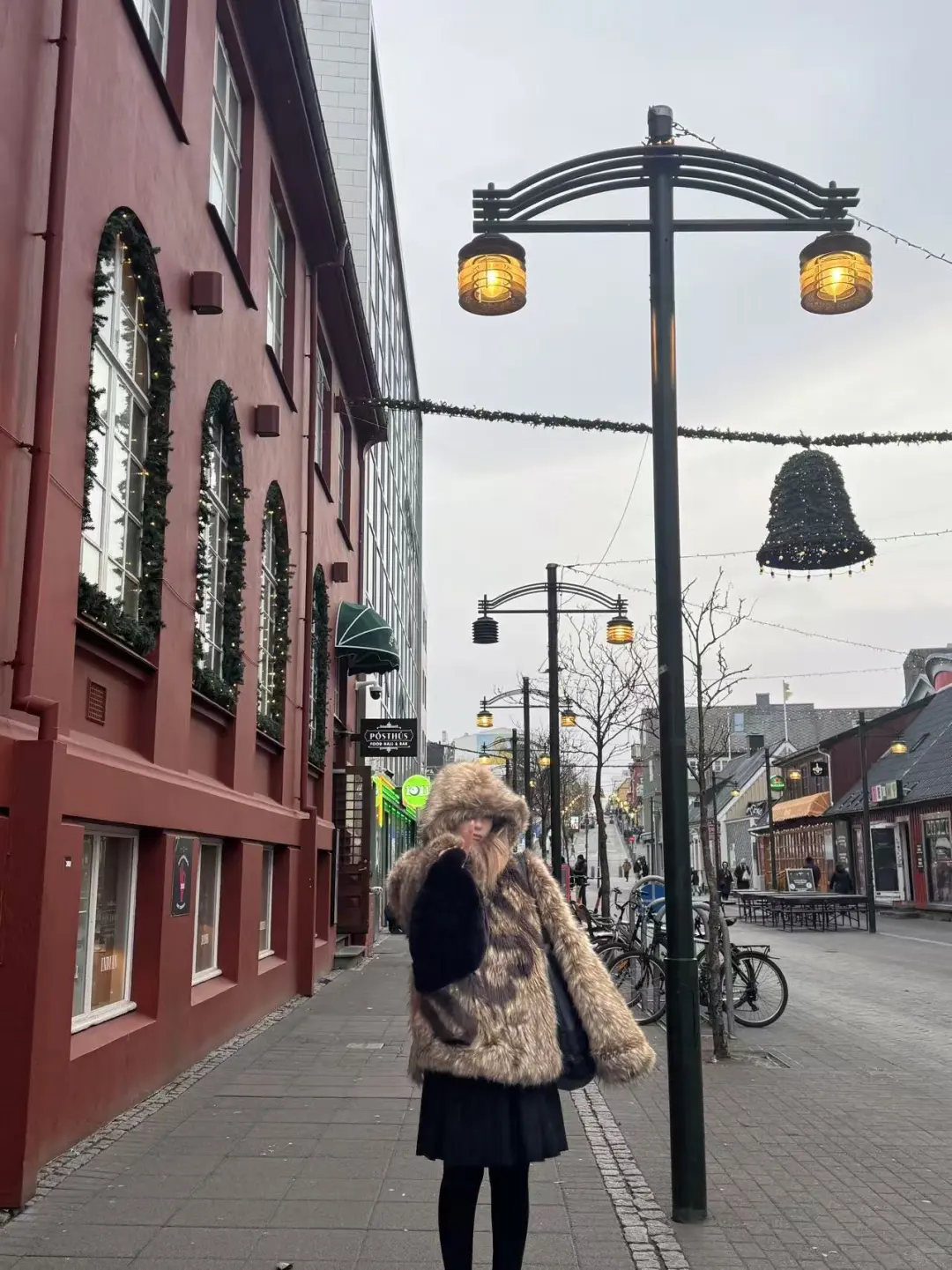 🇮🇸