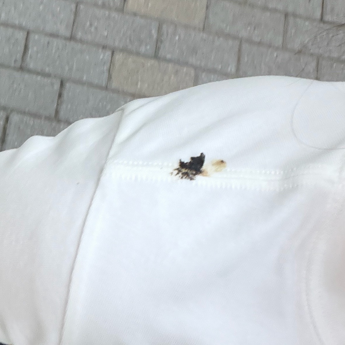 死鸟你丫够燥的…今天新到的衣服期待了好久…美美穿出去一坨鸟屎啪叽掉我肩膀了啥意思