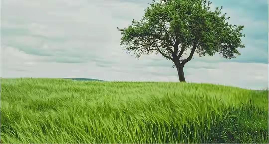 我每天坚持写作
每天不断创作
每天发布内容
无论是否有曝光
无论阅读、转发、收藏