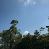日月里的平淡淡