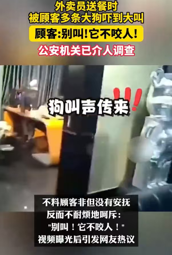 外卖员被3烈犬吓尖叫主人说不咬人出门送餐本是谋生，却无端被恶犬惊吓，主人忽视他人