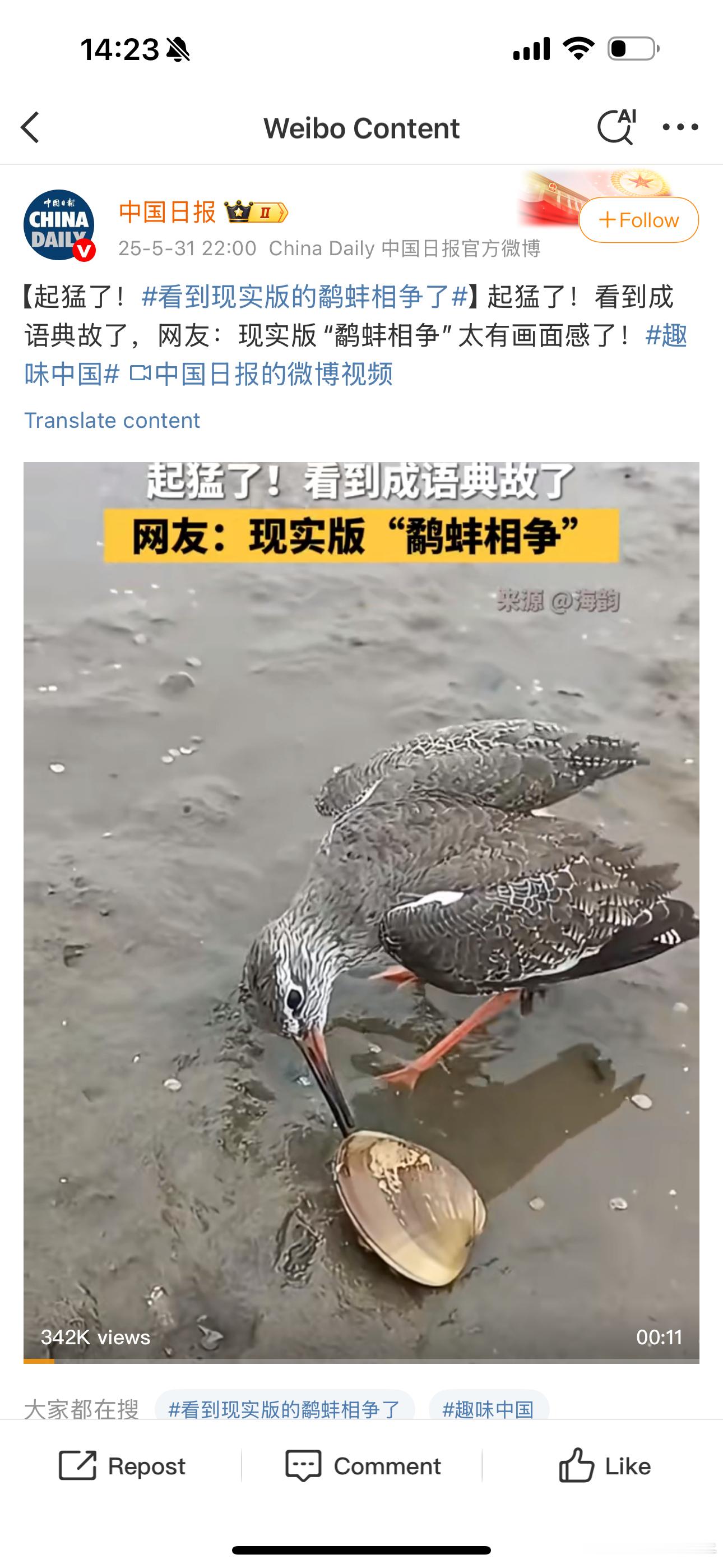 很多团队死于“内斗” ​​​