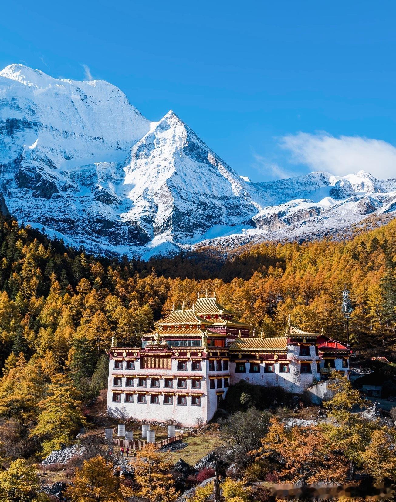 其实秋天才是最适合旅行的季节千万别死磕暑假和国庆出游！初秋才是隐藏的旅行好时机。