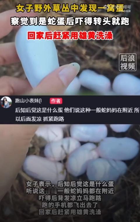 山上的野蛋也敢碰？5月7日，浙江一女子到户外爬山，意外发现一窝鸡蛋一样的东西，当