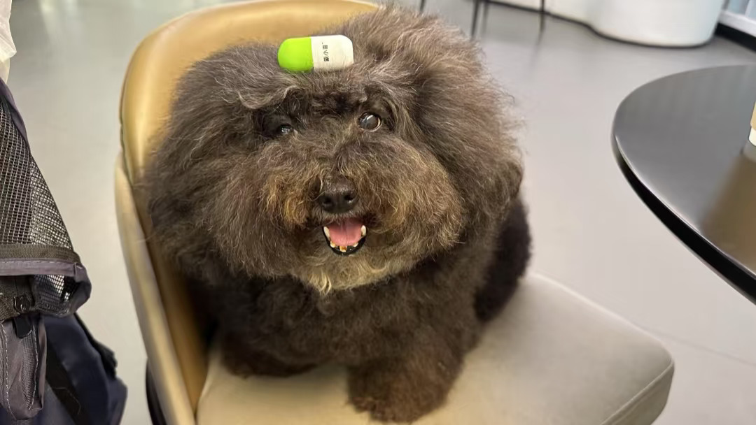 人，最近心脏保养的很好了