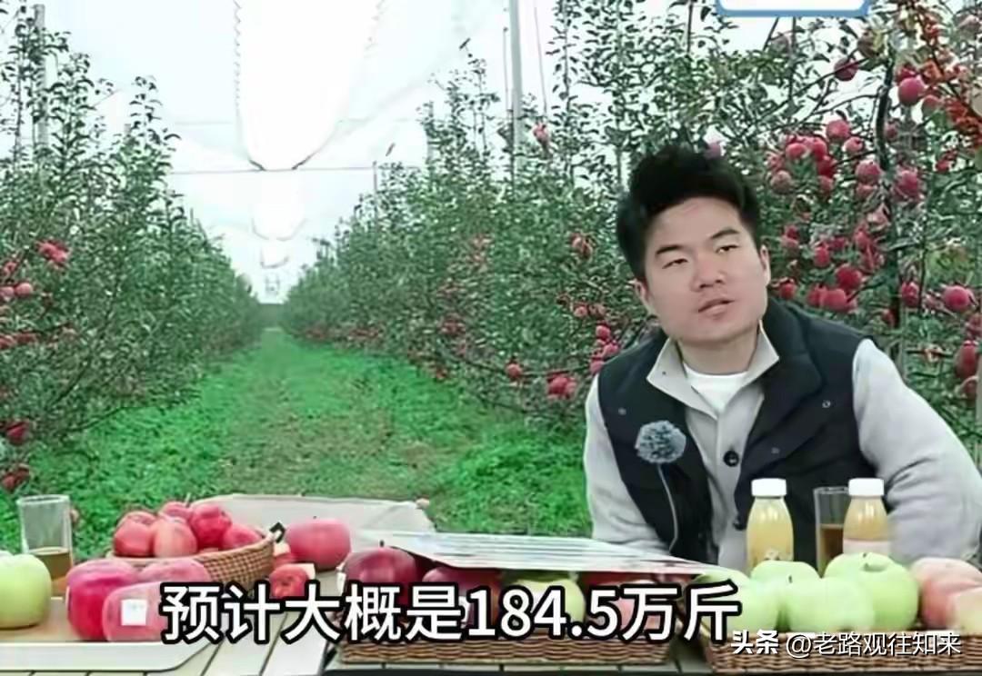 终于弄明白了，
苹果期货这个月降了21%，不是苹果突然没人吃了，是地里的果子还没