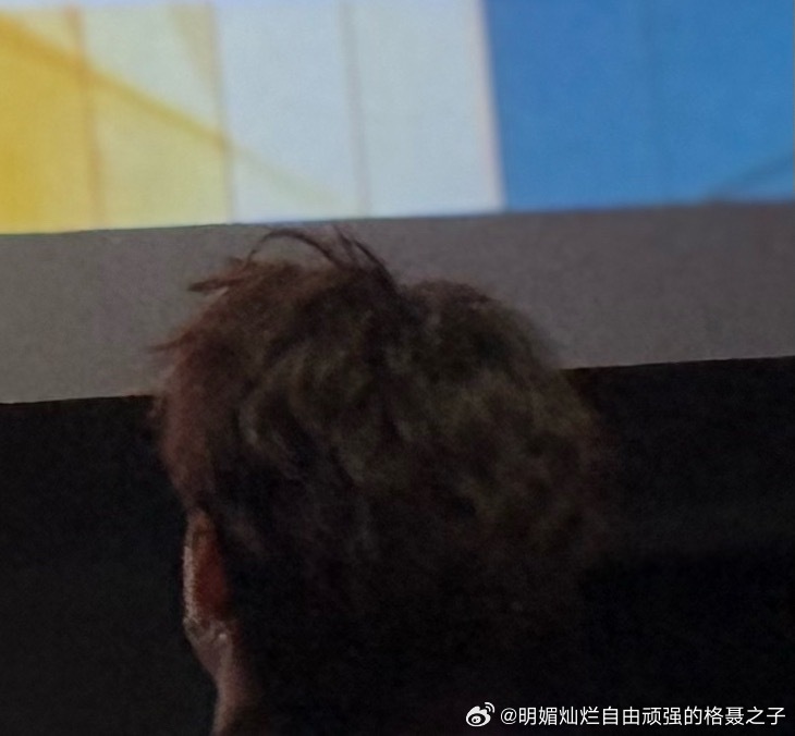 丁真丁真新电影梦寻苏毗女儿国 远远的模糊的后脑勺都完美上海国际电影节