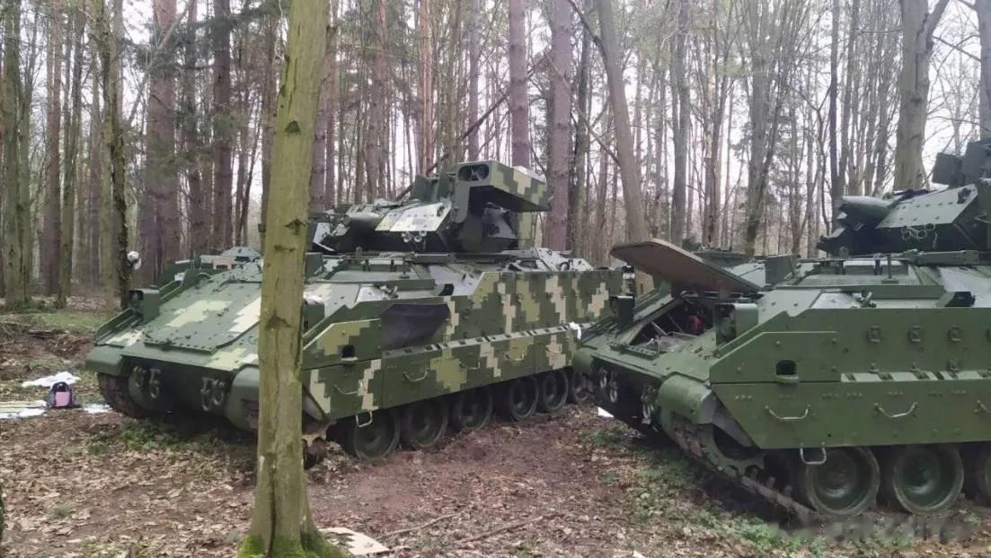 考虑到基辅已经装备了大约50辆CV90步兵战车，虽然CV90比布雷德利重了大约1