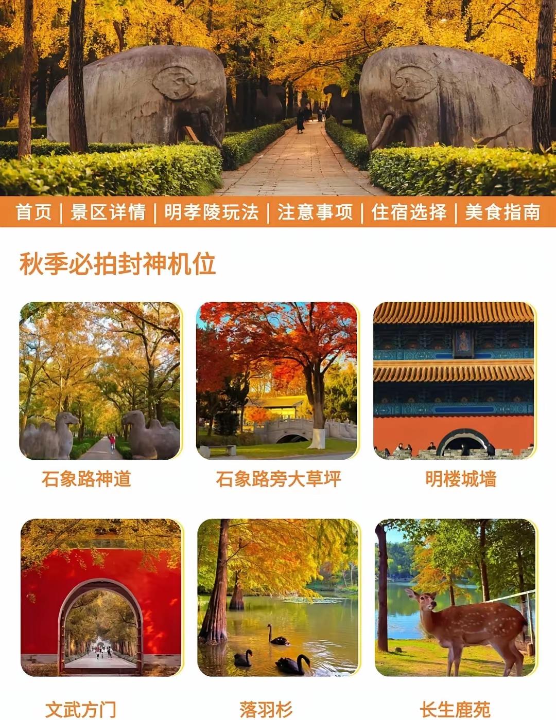 南京中山风景区旅游，看这几张图就可以了，我是建议大家买100元四个景点套票玩两天