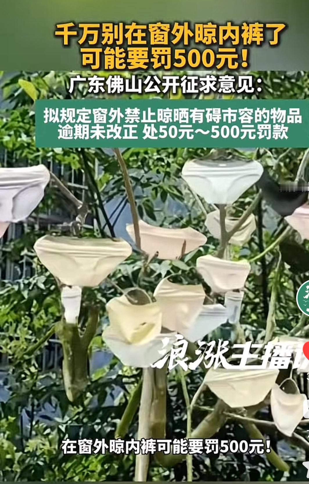 上周刷到佛山刚出的新规，在城镇建成区的建筑物阳台外、窗外这些公共可视区域晾晒内衣