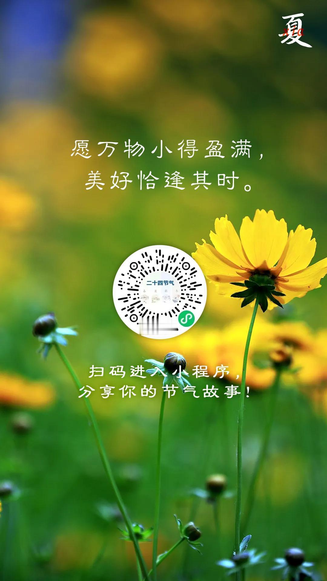 手机每天随手拍